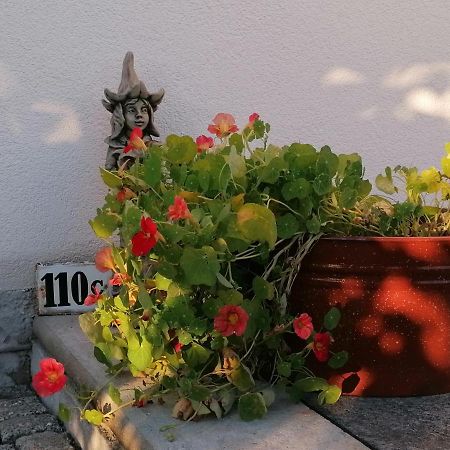 Kaethes Sommerhaus Schöna المظهر الخارجي الصورة