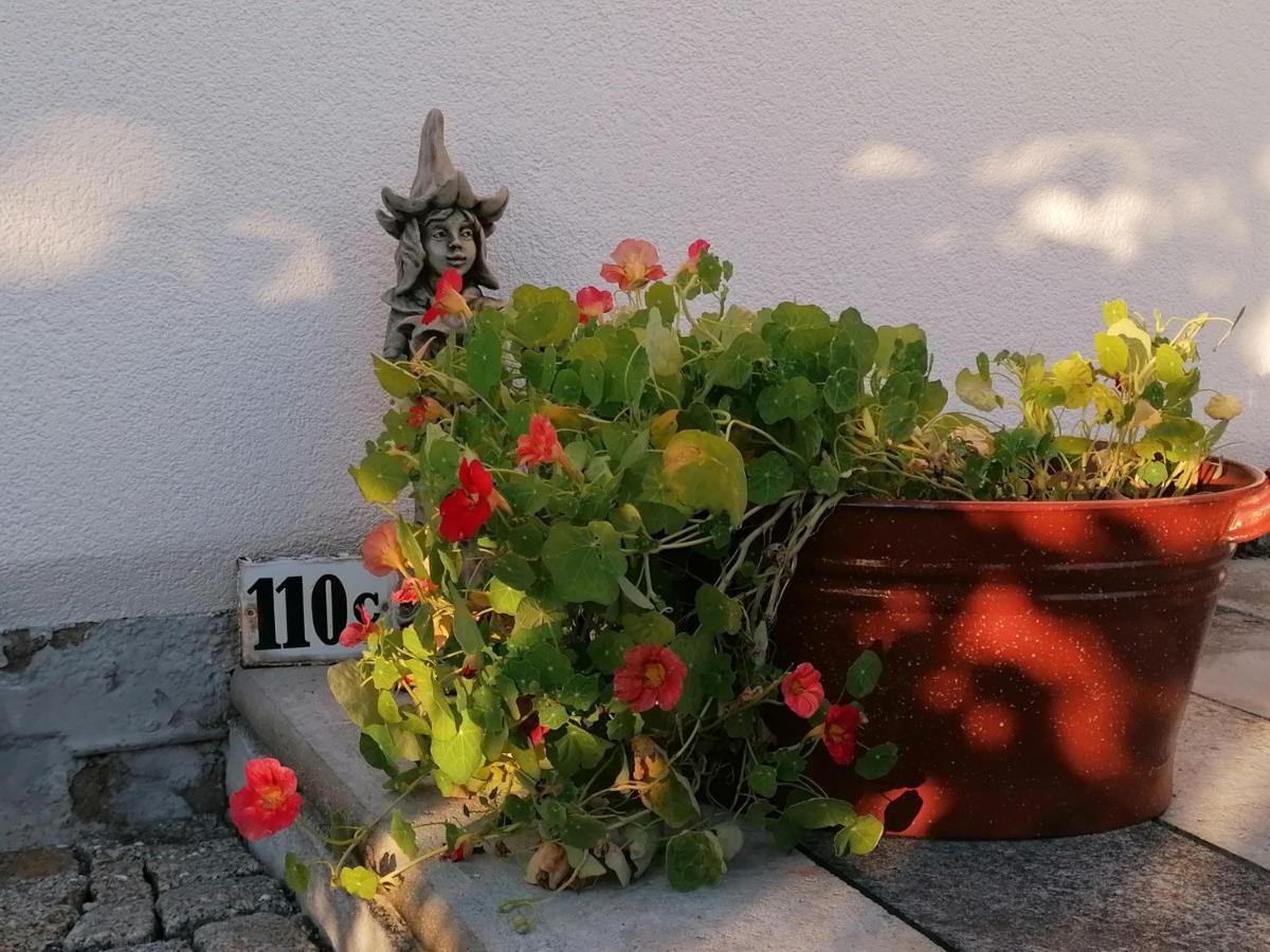 Kaethes Sommerhaus Schöna المظهر الخارجي الصورة